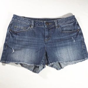 Lauren Conrad | Cutoff Fringed Jean Shorts